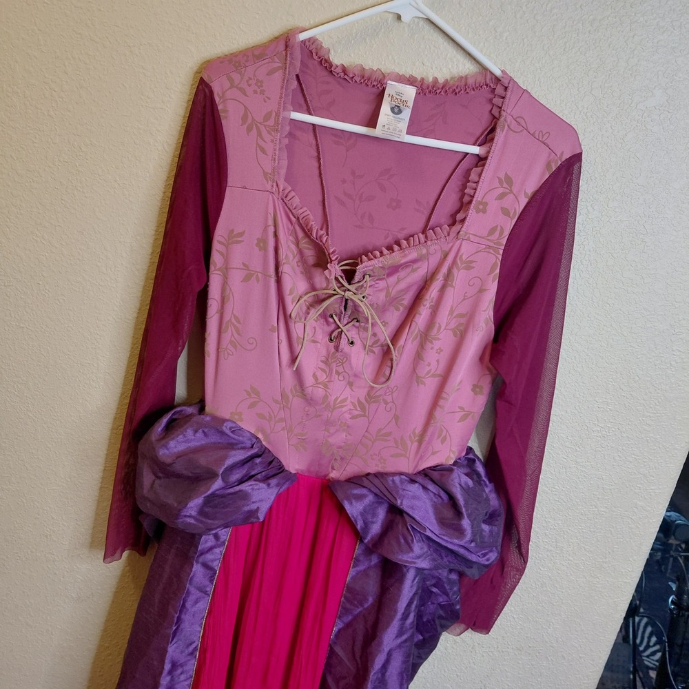 Disney Hocus Pocus L Sarah Sanderson Sisters Costume Dress Spirit Halloween Adlt